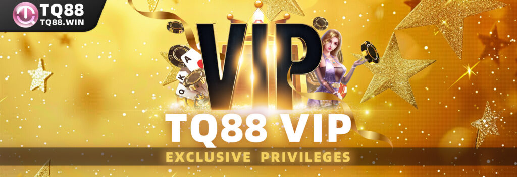 สิทธิพิเศษระดับ VIP กับ TQ88 ที่คุณไม่ควรพลาด